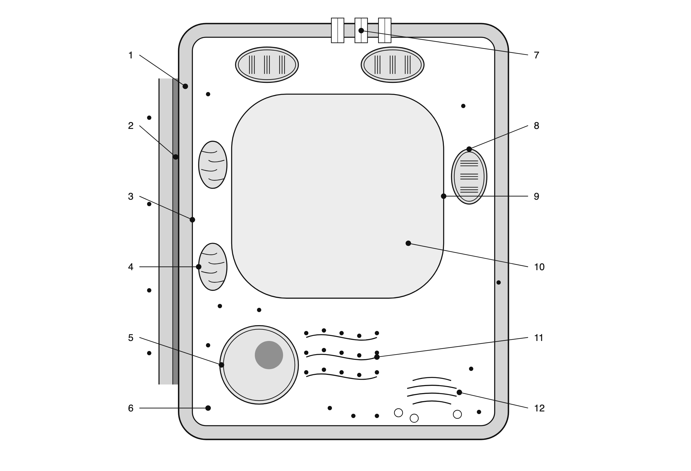 Blank plant cell diagram to label, with twelve numbered leader lines pointing to the cell wall, middle lamella, plasma membrane, mitochondrion, nucleus, ribosomes, plasmodesmata, chloroplast, tonoplast, central vacuole, rough endoplasmic reticulum and Golgi apparatus
