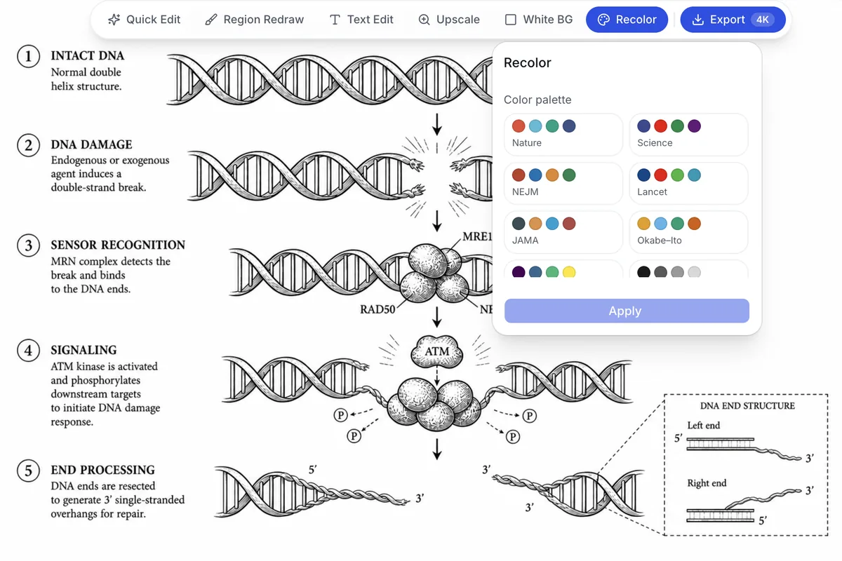 线稿版 DNA 双链断裂示意图，重新上色面板已打开，可选 Nature、Science、NEJM、Lancet、JAMA 与 Okabe-Ito 配色