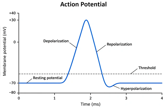 Simple overview